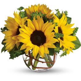 Low arrangement of bright yellow sunflowers in a clear round glass vase