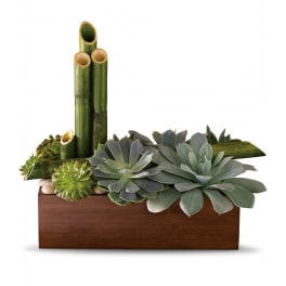 Low succulent arrangement with bamboo stalks in a rectangular wooden planter with white stones.