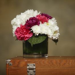 All in Bloom 6