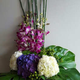 All in Bloom 33