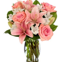 Pink Perfection - ALL3669