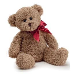 Brown teddy bear with a red ribbon bow