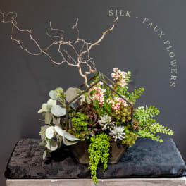 Succulent Terrarium: Real + Silk - Faux Plants/Greenery