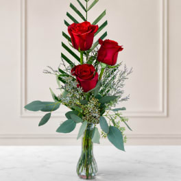 3 red rose bud vase