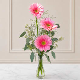 3 pink gerbera bud vase