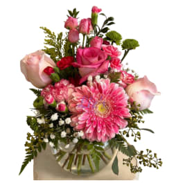 Pinks for you!