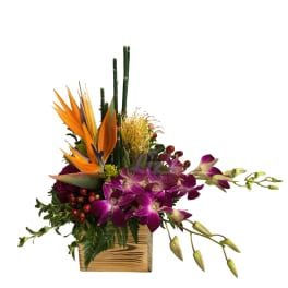 Tropical floral arrangement with purple orchids and orange bird of paradise in a wooden box