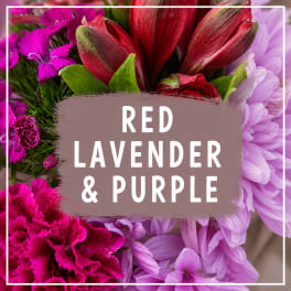Red, lavender, and purple flowers arranged in a close-up bouquet