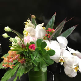 Mixed floral arrangement with white orchids and green succulents in a vase