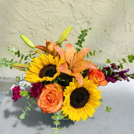 Summer Sunflowers