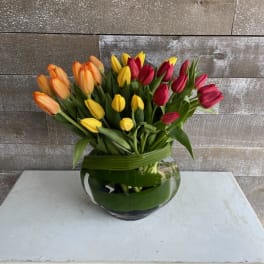 Colorful tulips arranged in a round glass vase