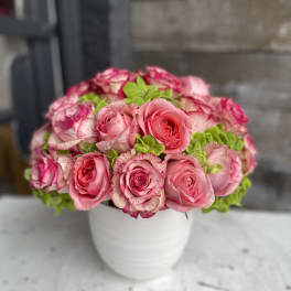 Pink roses arranged in a white vase