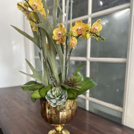 Yellow orchids arranged in a gold pedestal vase with succulents