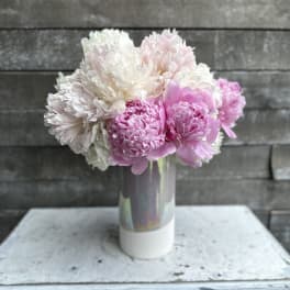 Pink and white peonies in a tall vase
