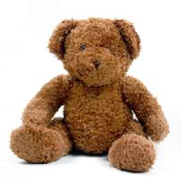 Brown plush teddy bear sitting on a white background