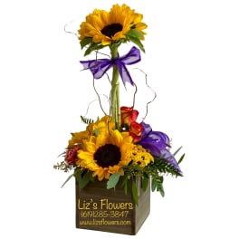The beauty of Sunflowers