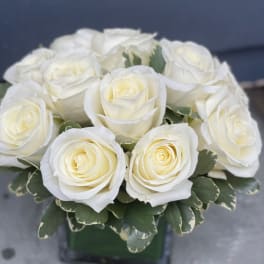 White roses arranged in a square vase with green foliage