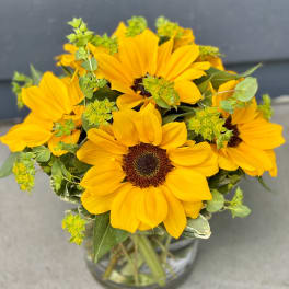 Sunny Sunflowers