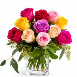 Dozen Roses