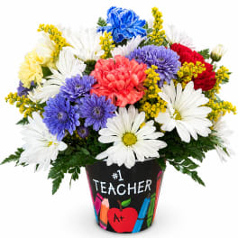 #1 Teacher