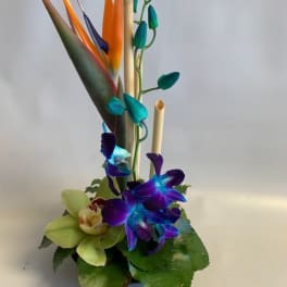 Tropical arrangement with bird of paradise and orchids in a vase