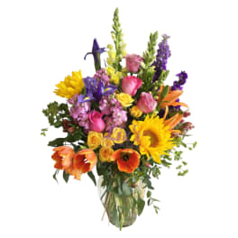 HAPPY BLOOMS