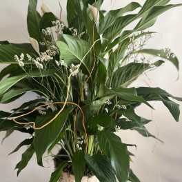 Tall green arrangement with white accent flowers in a clear vase