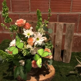 Spring Has Sprung