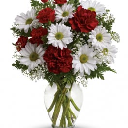 Bouquet of white daisies and red carnations arranged in a clear glass vase