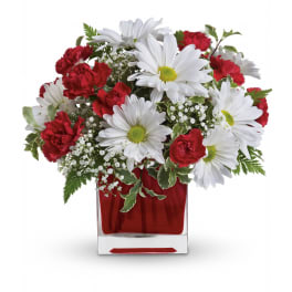 Bouquet of white daisies and red carnations in a red glass cube vase