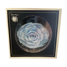 Preserved Blue Rose