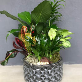 Grateful Garden