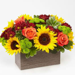 Sunflower and rose arrangement in a rectangular wooden box