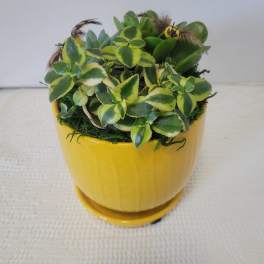 Bumblebee Yellow