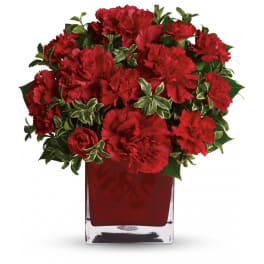 Compact arrangement of red carnations with variegated foliage in a red glass cube vase