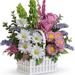 Basket arrangement with white daisies, pink blooms, lavender roses, and green bells of Ireland.