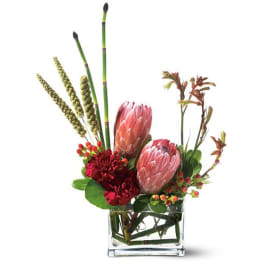 Modern arrangement with pink protea, red carnations and tall green reeds in a clear glass vase