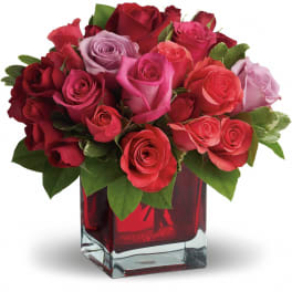 Compact arrangement of red, pink, and lavender roses in a red glass cube vase