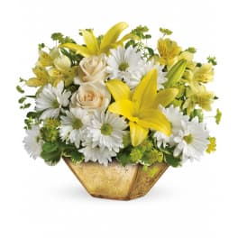 Low arrangement of yellow lilies, white daisies, and cream roses in a gold bowl vase