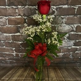 Single red rose in a glass vase with baby's breath and a red ribbon