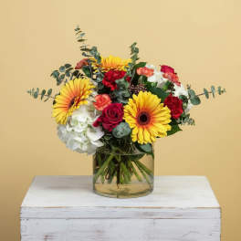 Vibrant Sunshine
