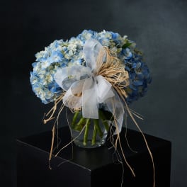 Blue and white hydrangea bouquet tied with a sheer ribbon