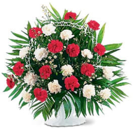 Red and white carnation arrangement in a white vase
