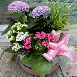 Blooming Love Dish Garden