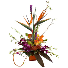 Tropical flower arrangement with orange bird-of-paradise and purple orchids in a vase