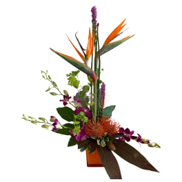 Tall tropical arrangement with orange bird-of-paradise and purple orchids in a vase