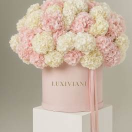 Pink and white hydrangeas arranged in a round hatbox with ribbon