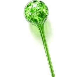 Watering Glass Globe