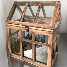 Rustic Orchid & Succulent Glass Greenhouse
