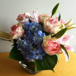 All in Bloom 25
